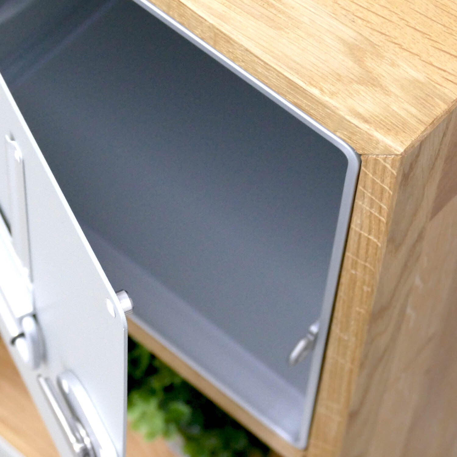 Holzschrank mit heller Holzmaserung, geöffneter grauer Metalltür und sichtbaren grünen Pflanzen.