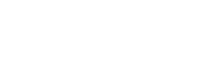 Skypak logo google